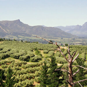 Garden Route Uncovered 2025